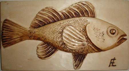 POISSON Ao�t 2008 SEYSSEL 