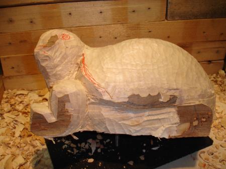 Ebauche d'une tortue.