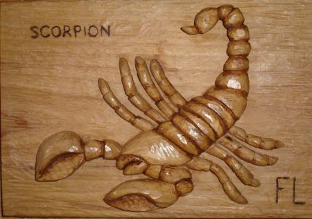 Mon Signe du Scorpion:19/11/1951